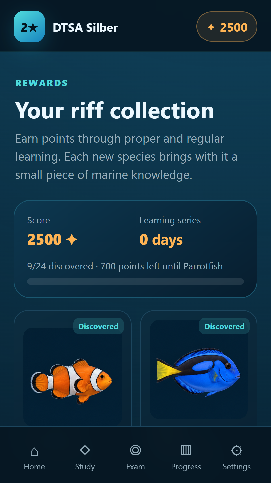 Reef collection — DTSA/CMAS 2** Silver